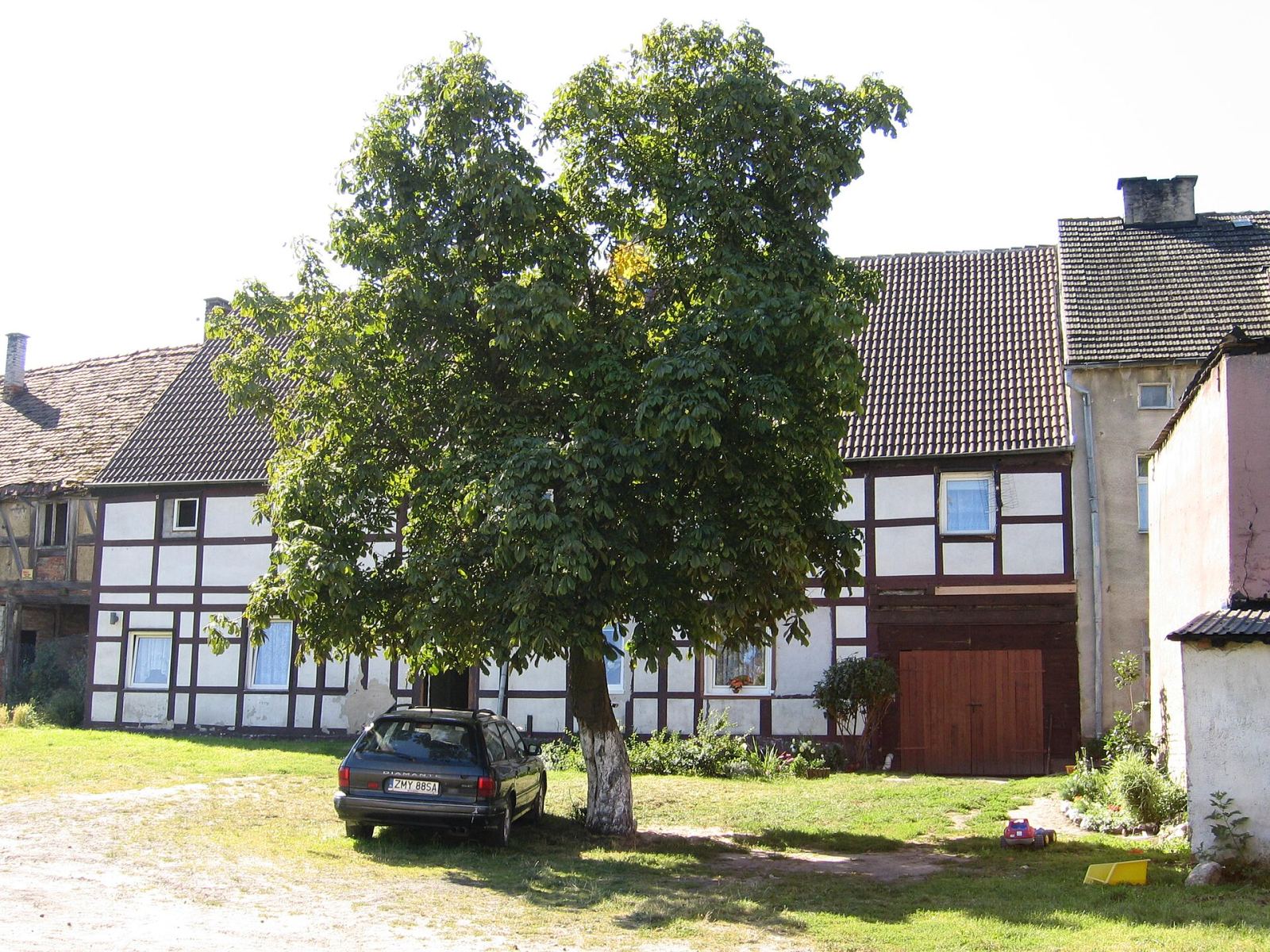 Dom, Lipiany