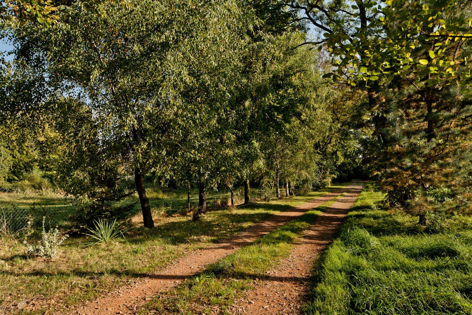 Park, Gdów