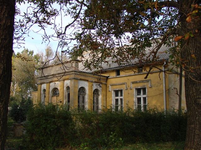 Dwór, Kostrzyn