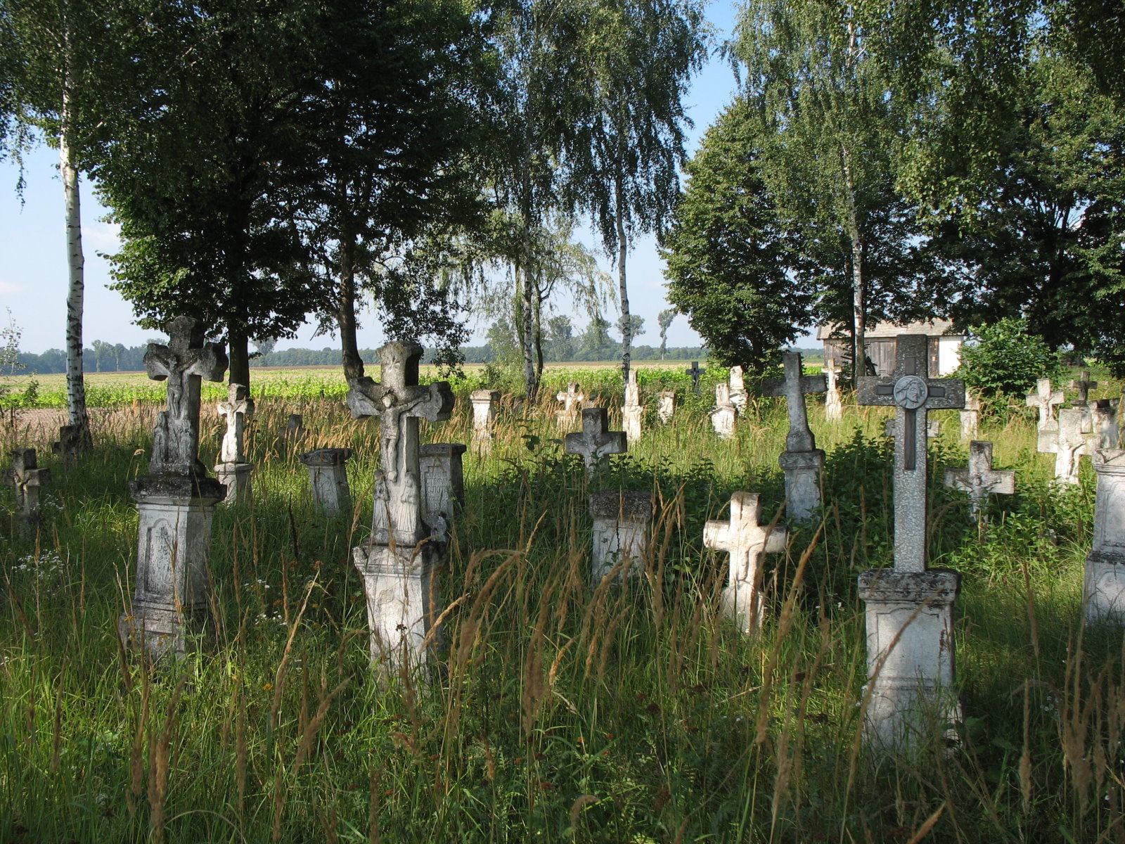 Cmentarz komunalny, Niemstów