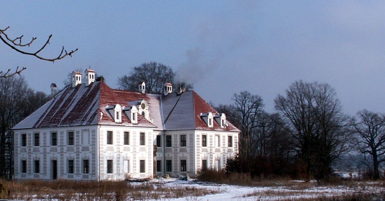 Pałac, Lasocin
