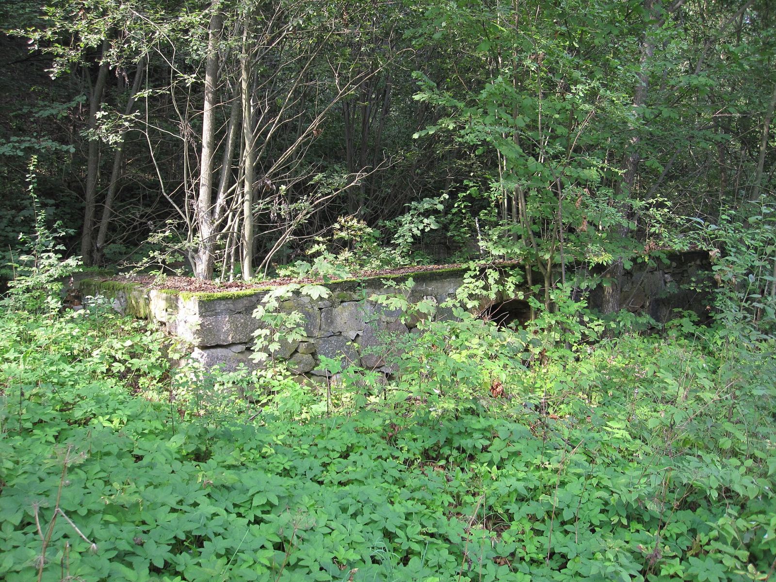 Park pałacowy, Sorkwity