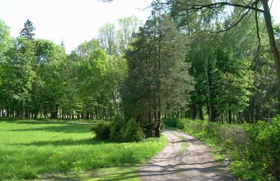 Park dworski, Bochotnica-Kolonia