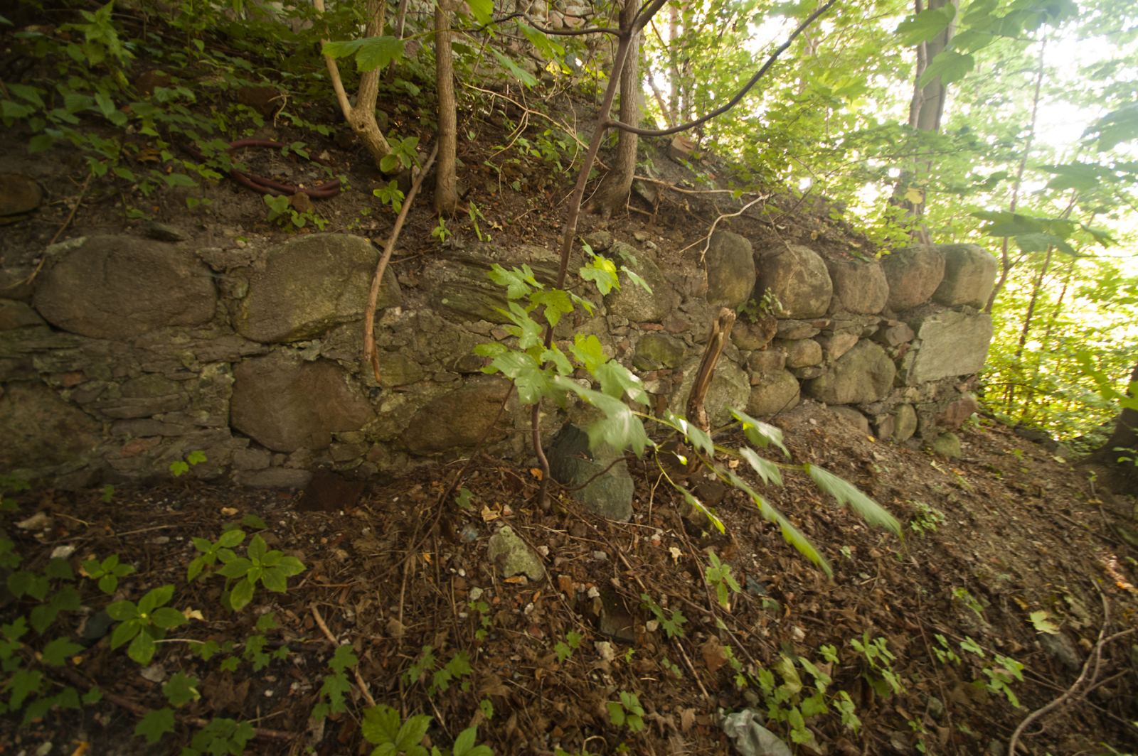 Ruiny zamku, Miłakowo