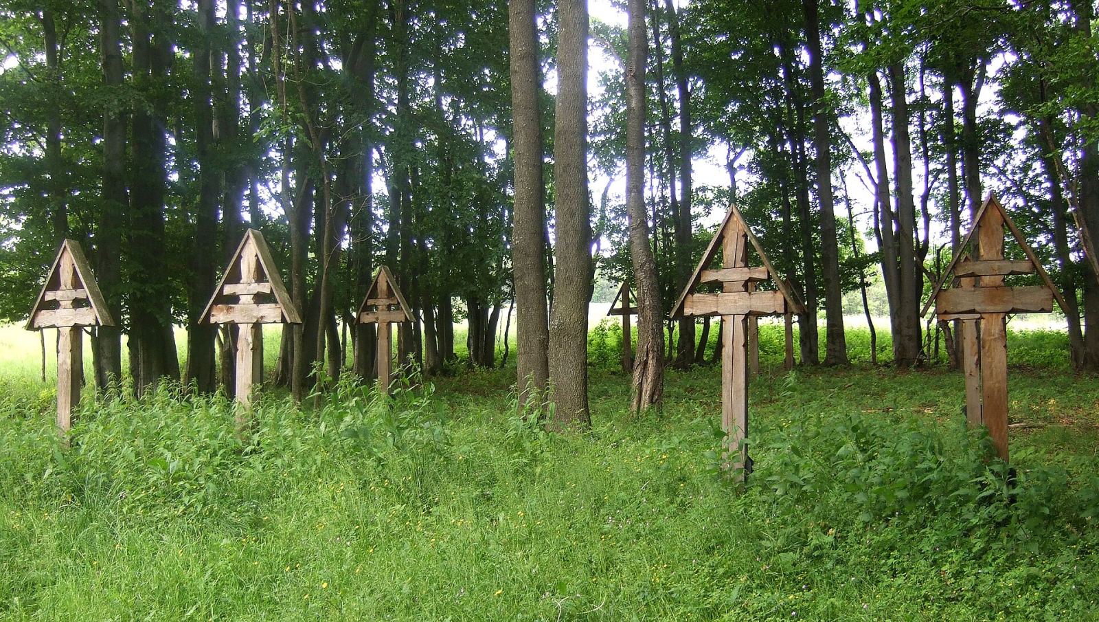 Ogrodzenie, Czarne