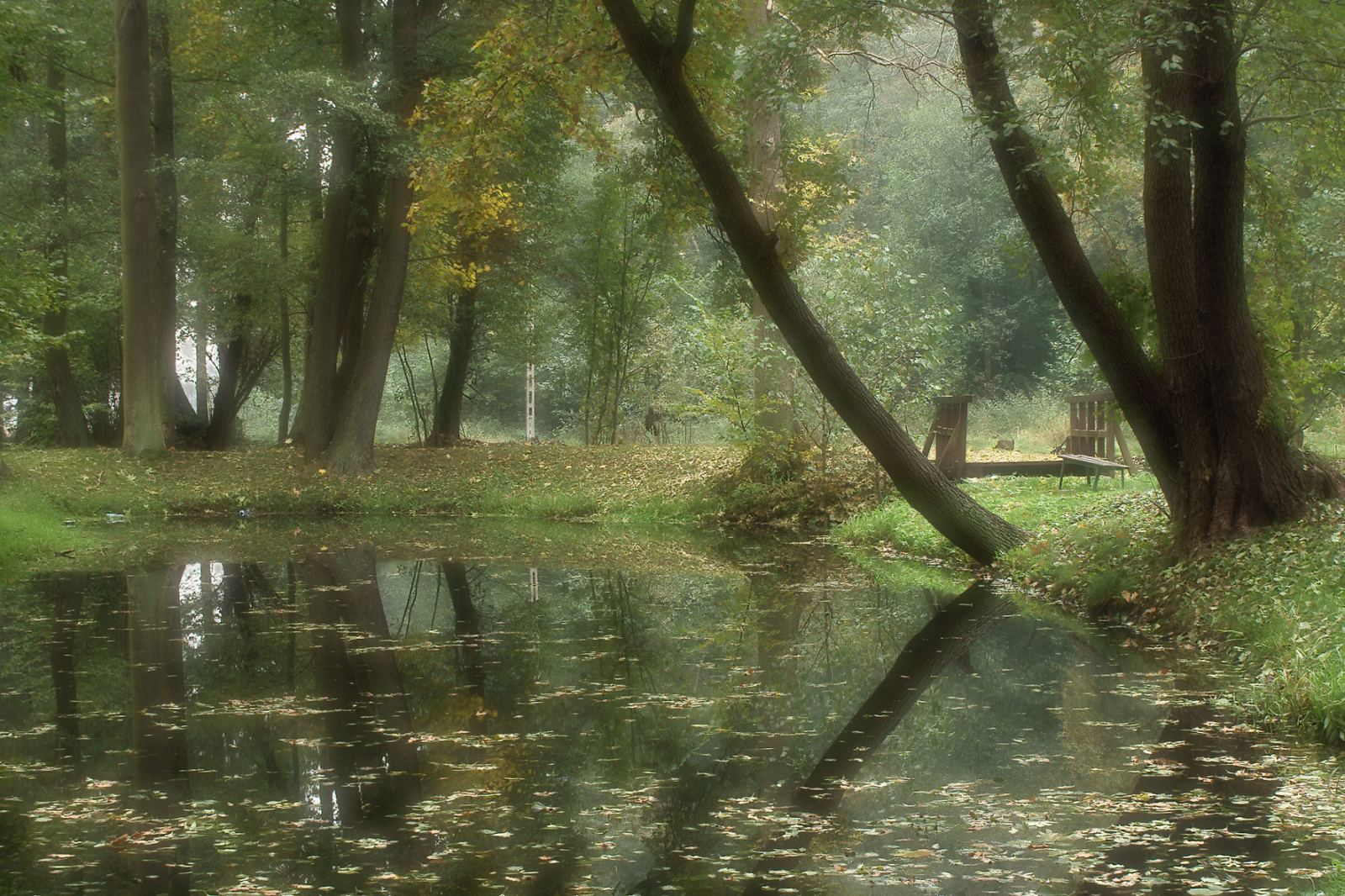 Park, Żuków