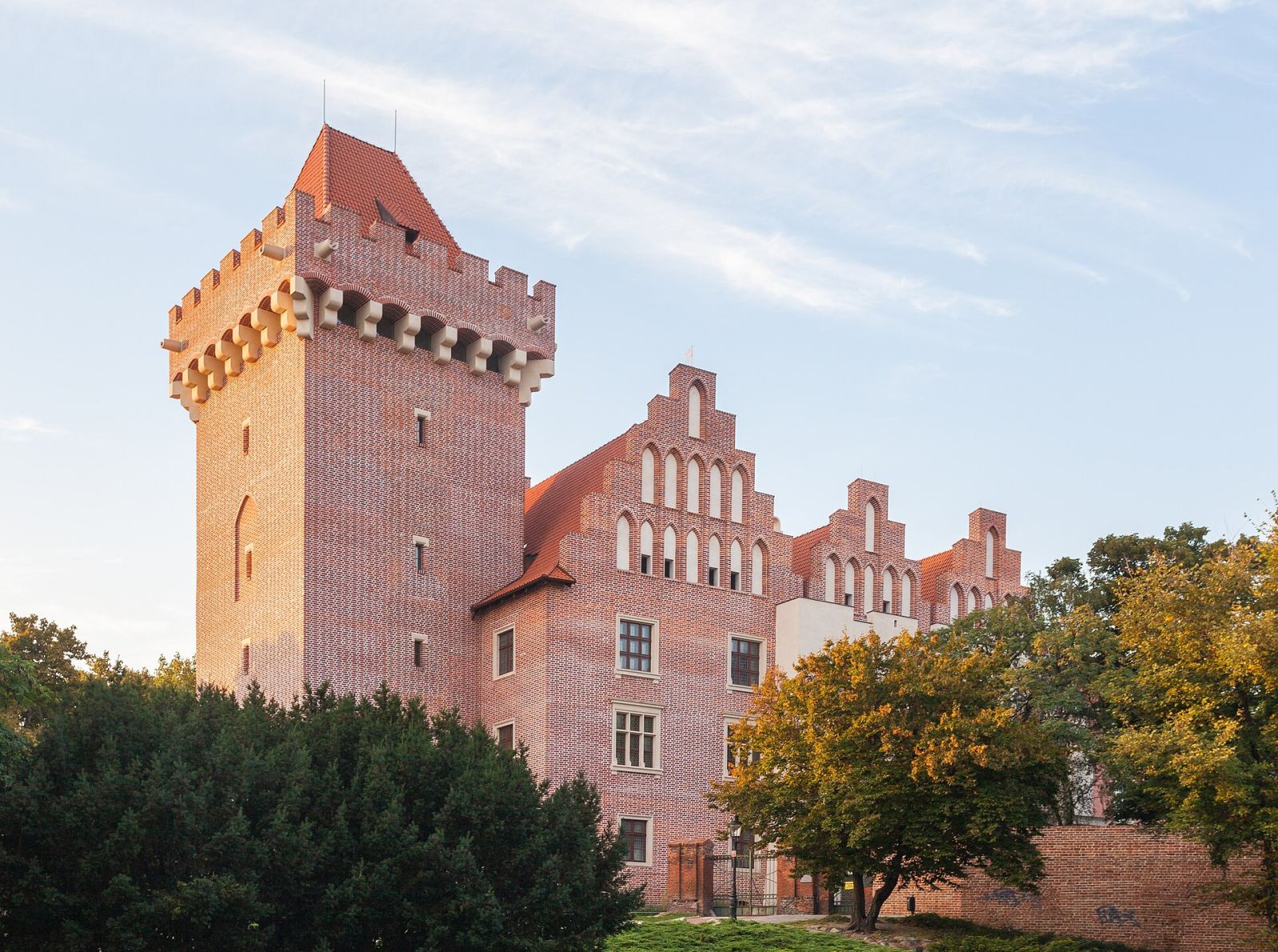 Zamek Przemysława, Poznań