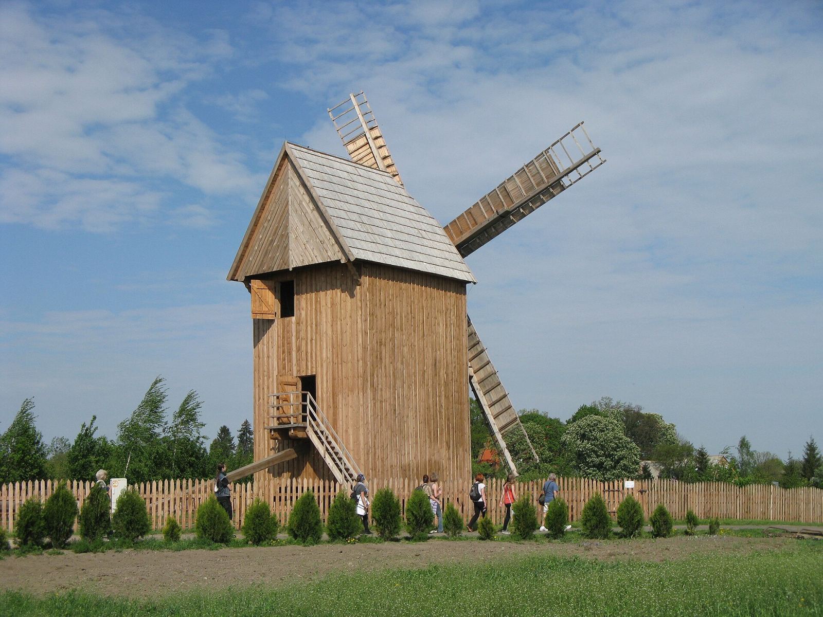 Wiatrak koźlak, Bierzgłowo