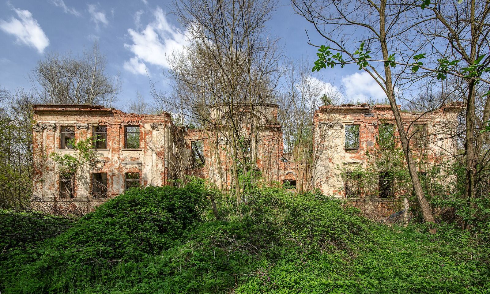 Pałac, Dziesław