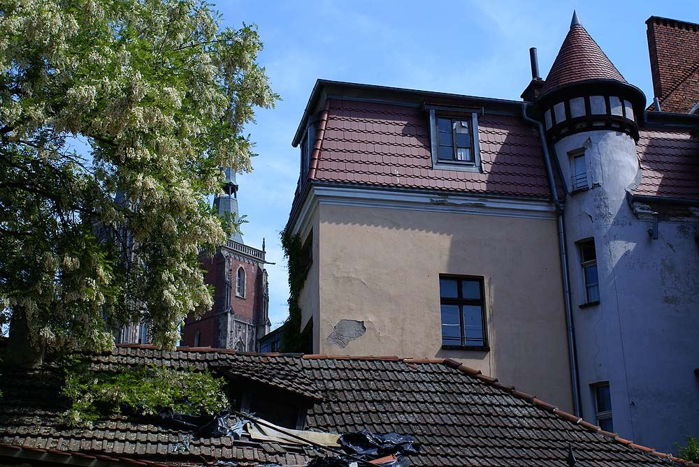Kanonia, Wrocław