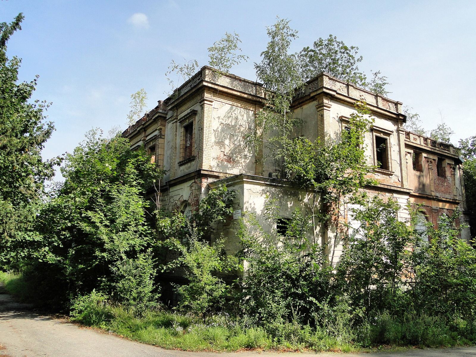 Zespół parkowo-pałacowy, Witnica