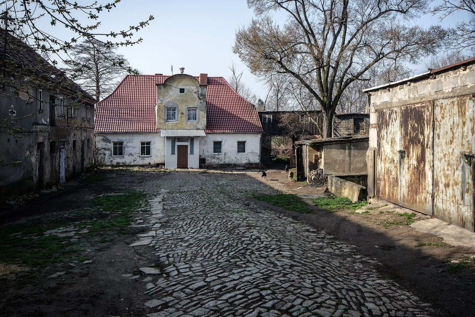 Dom, Jawor