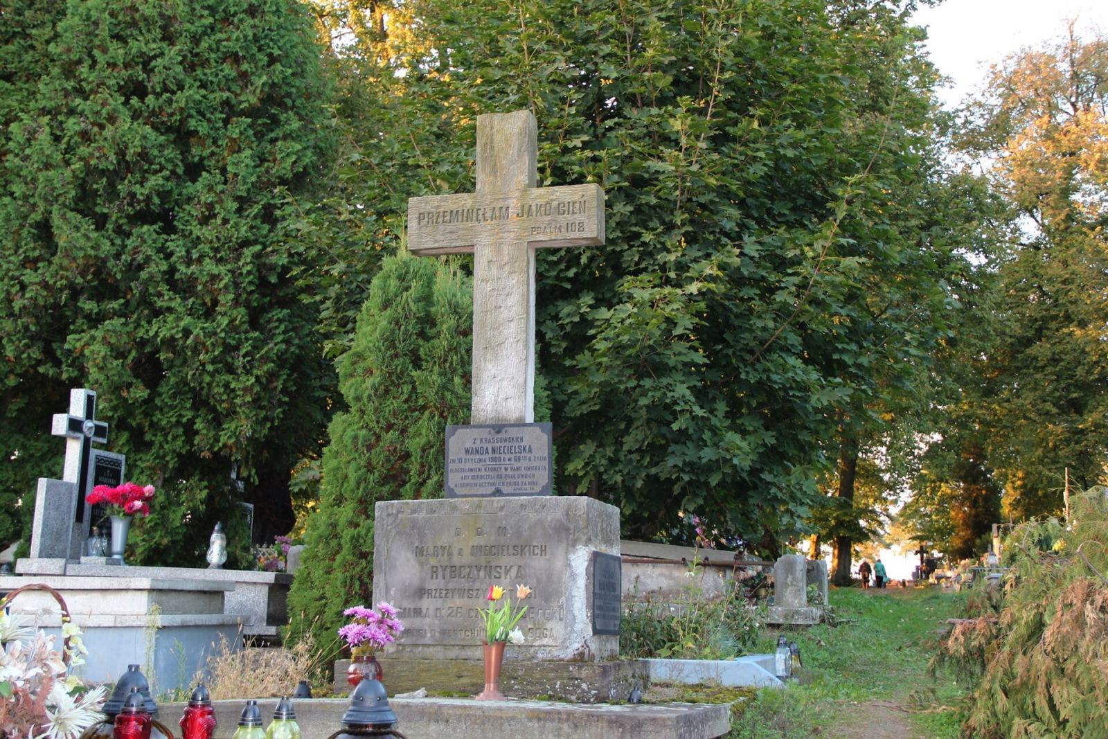 Cmentarz parafialny, Dys