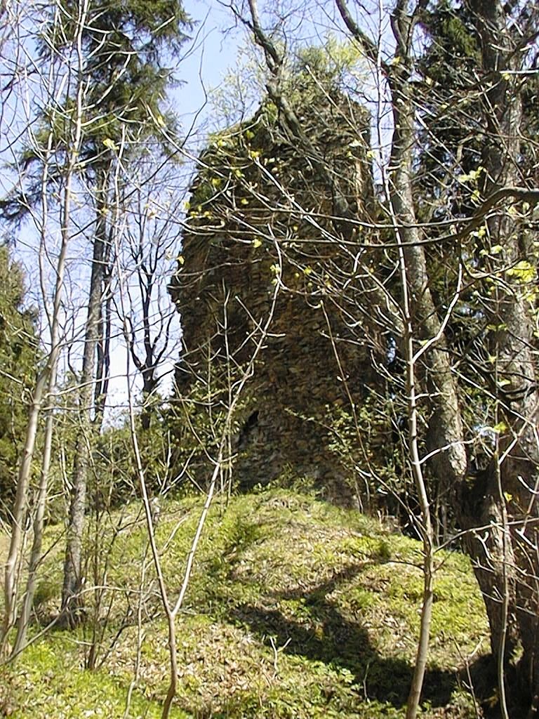 Ruiny zamku, Czarny Bór