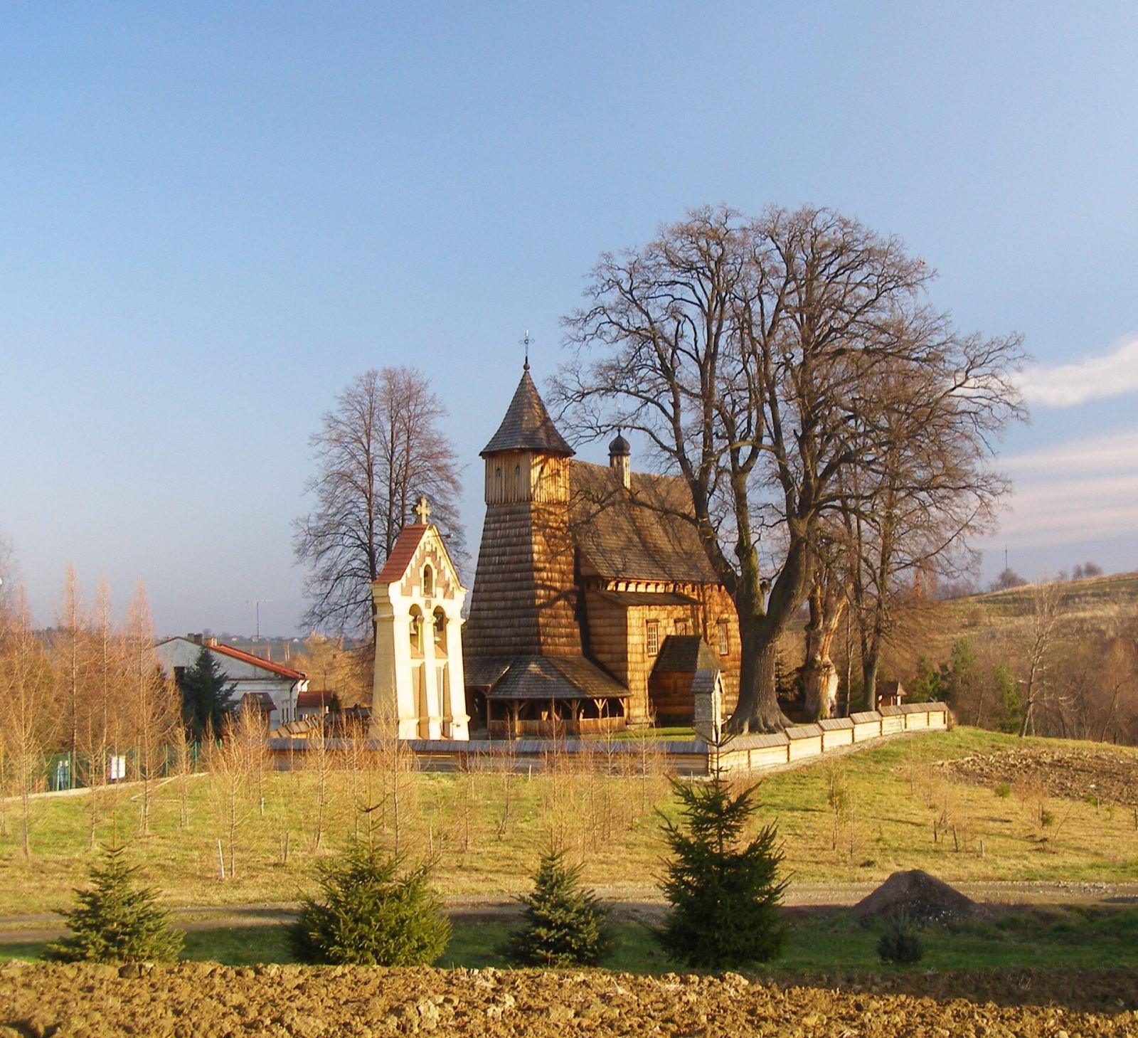 Kościół parafialny pw. św. Doroty, Trzcinica