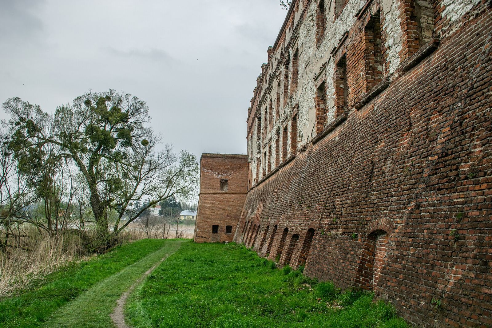 Dwór, Krupe