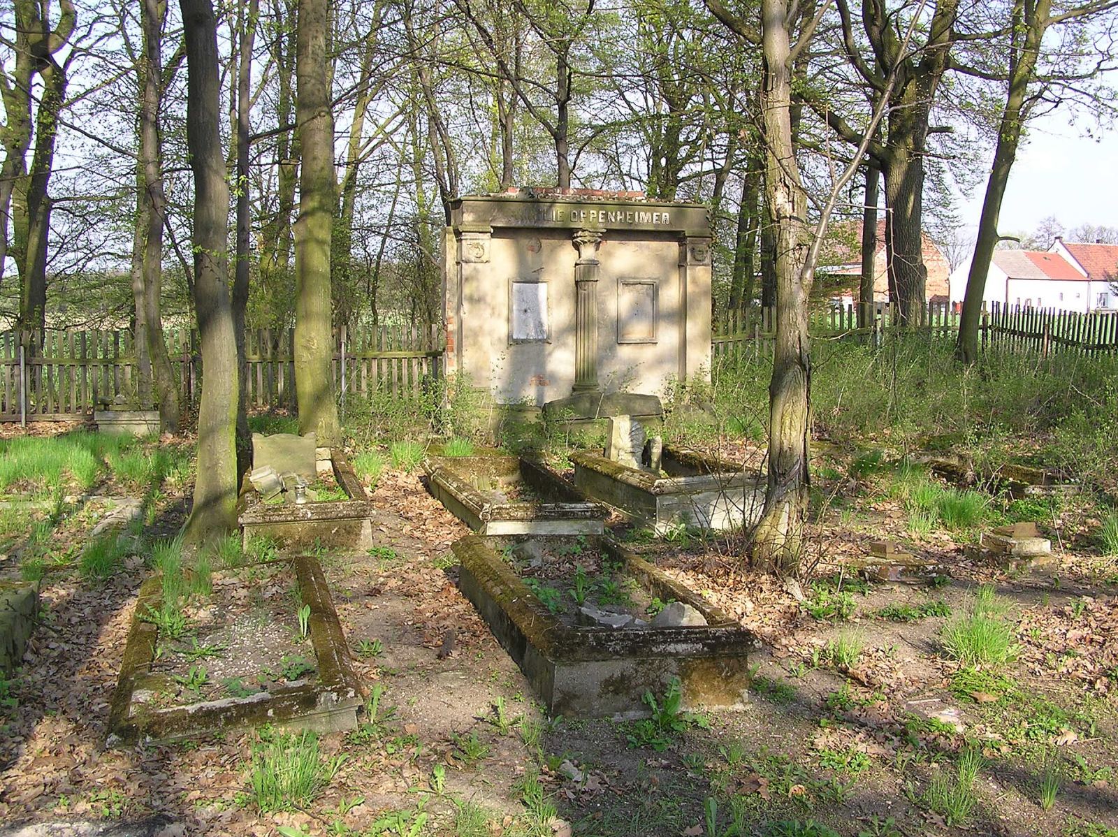 Cmentarz żydowski, Szprotawa