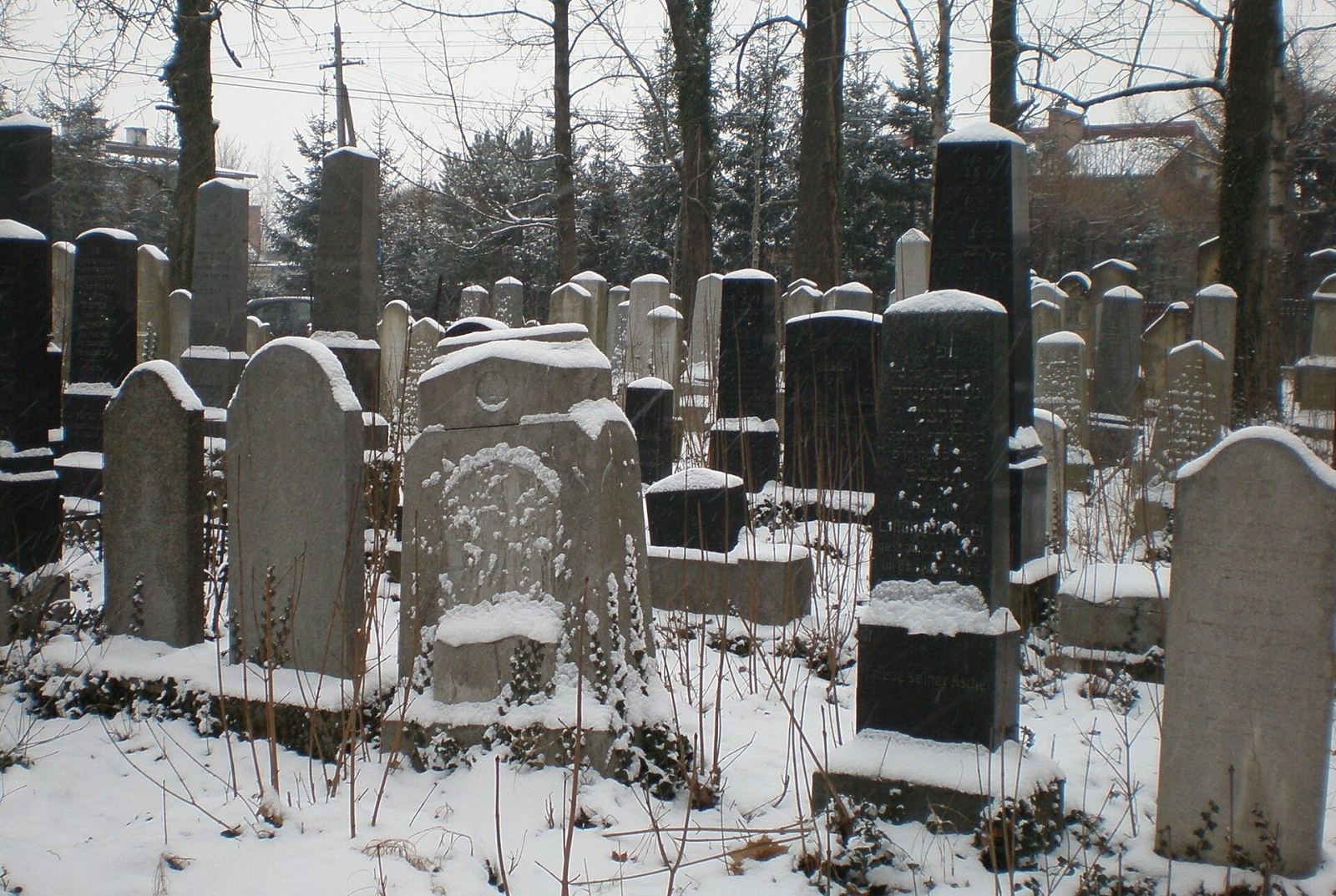 Cmentarz żydowski z drzewostanem, Andrychów