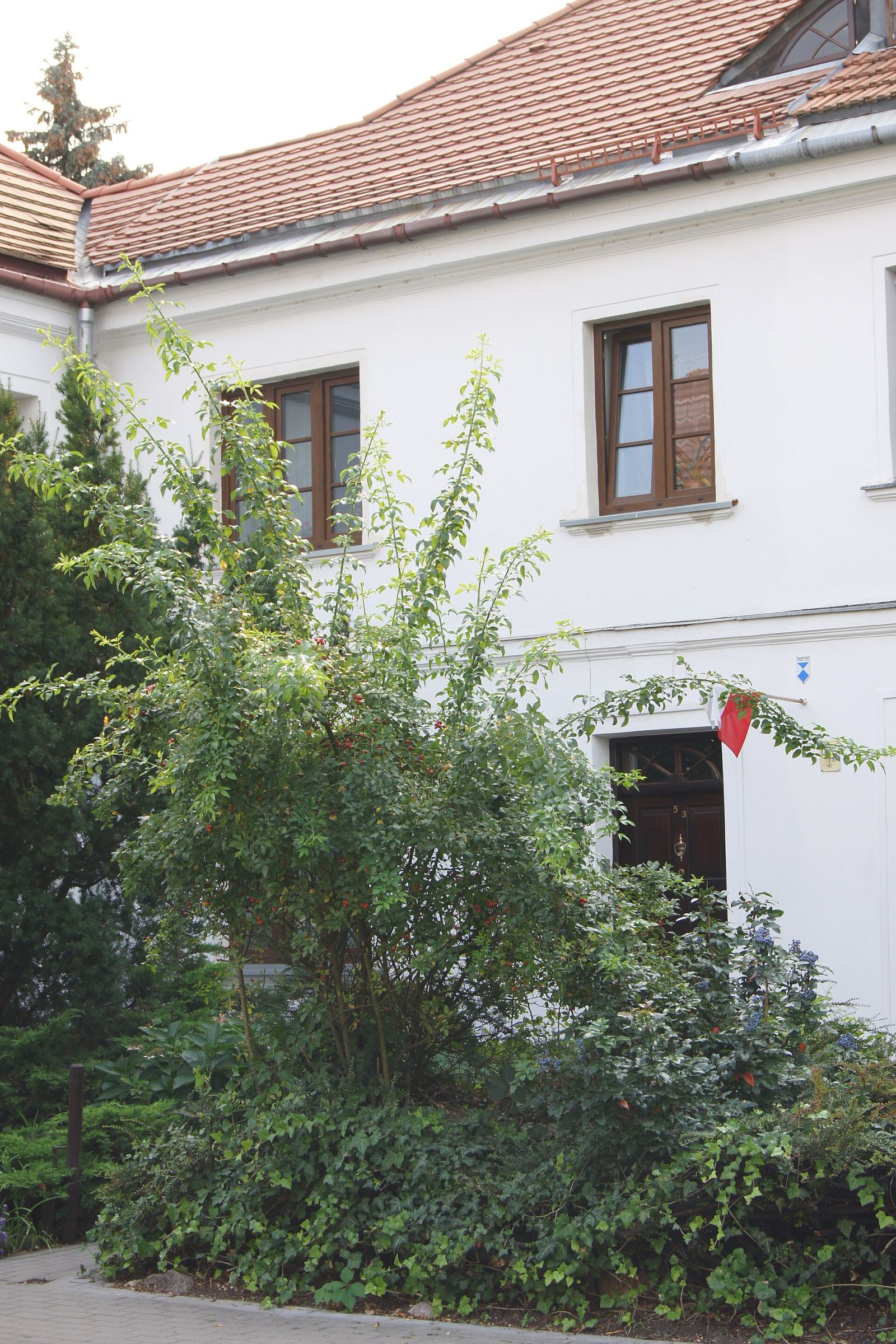 Segment mieszkalny, Warszawa