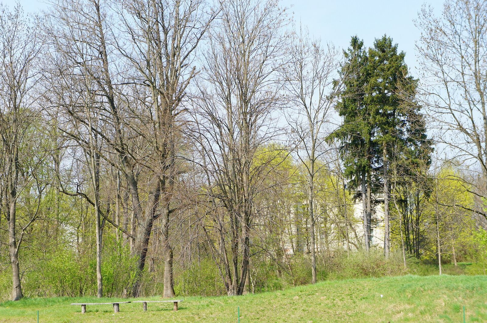 Park, Kołbiel