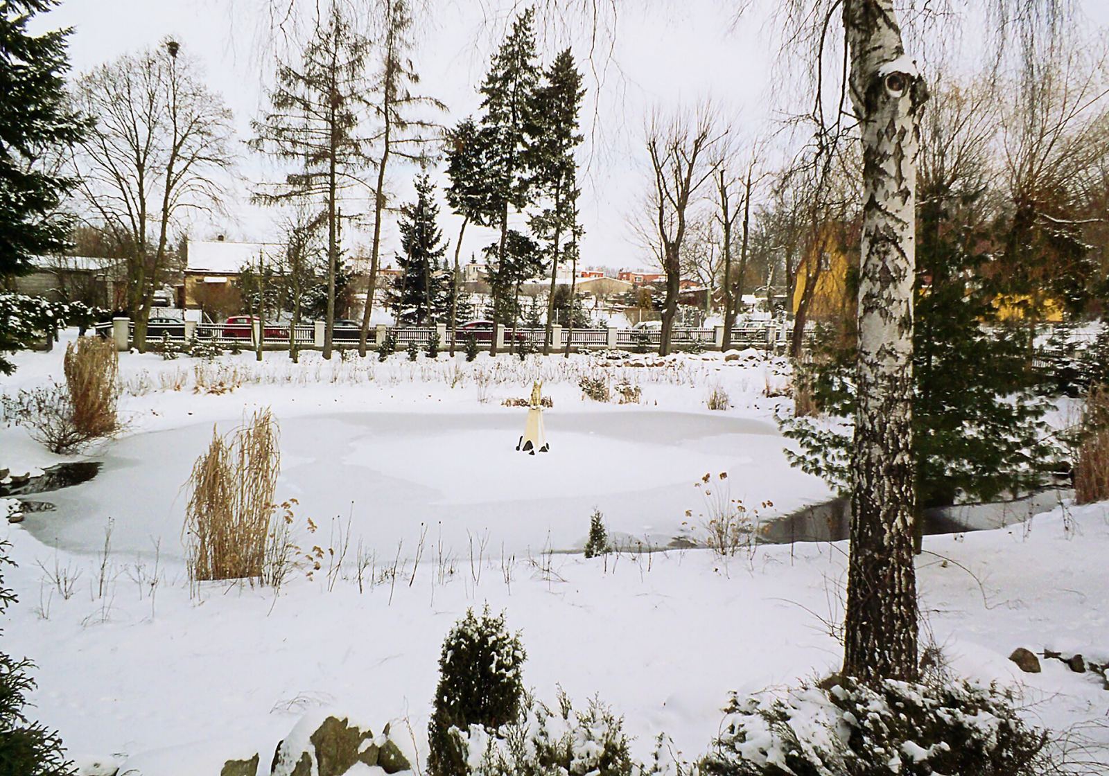 Park dworski, krajobrazowy, Chludowo