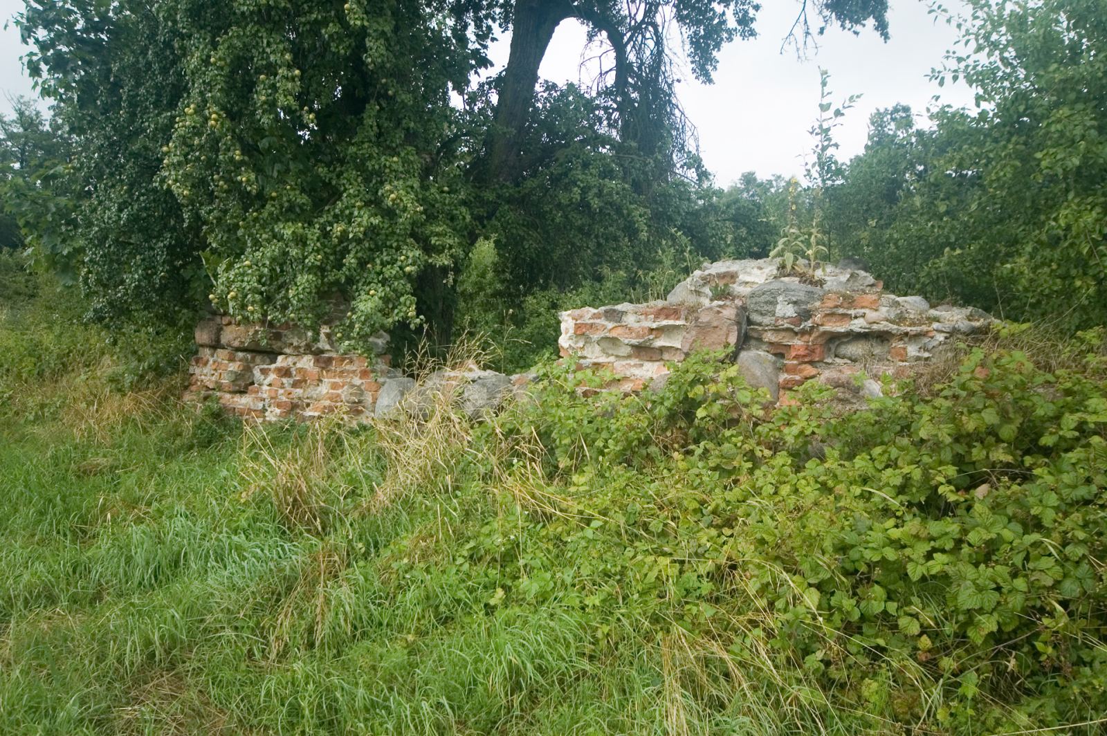 Wola Wężykowa, st. 1, Wola Wężykowa