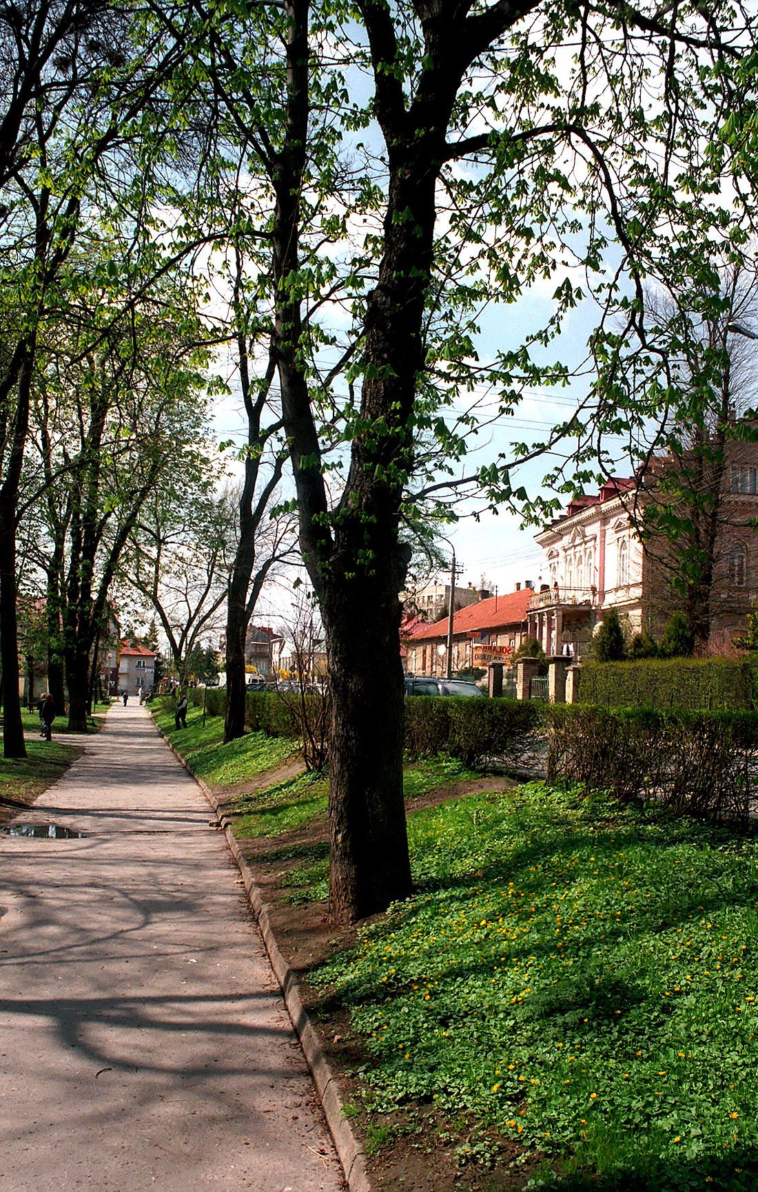 Park, Bochnia