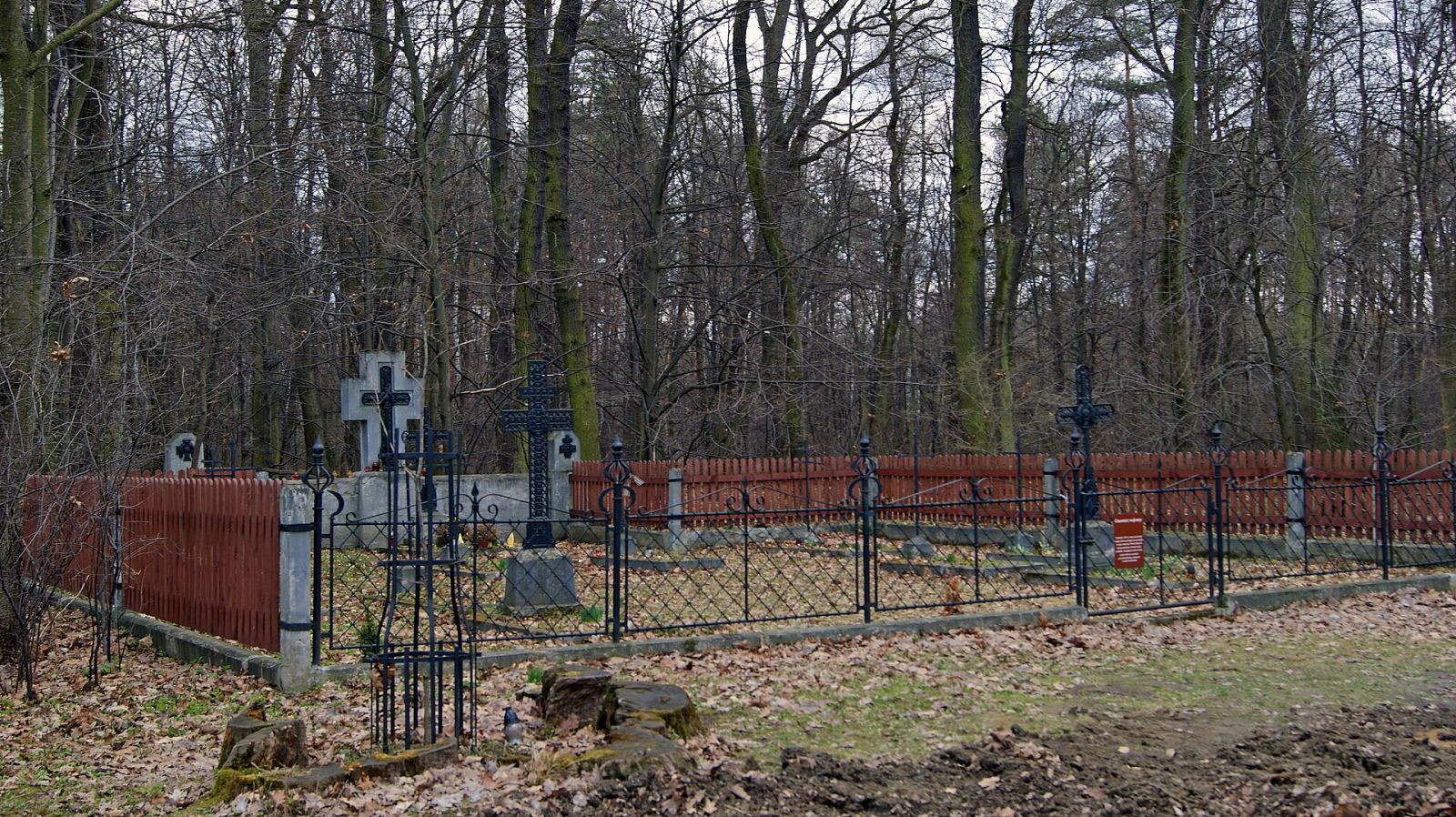 Cmentarz wojenny nr 325 z I wojny światowej, Wola Batorska