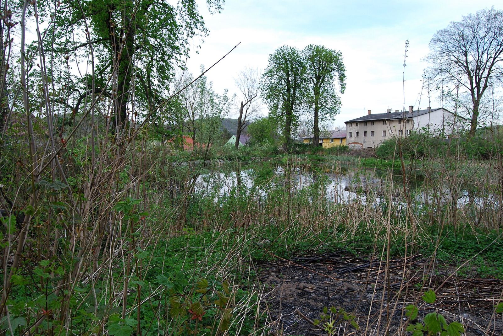 Park, Rząśnik
