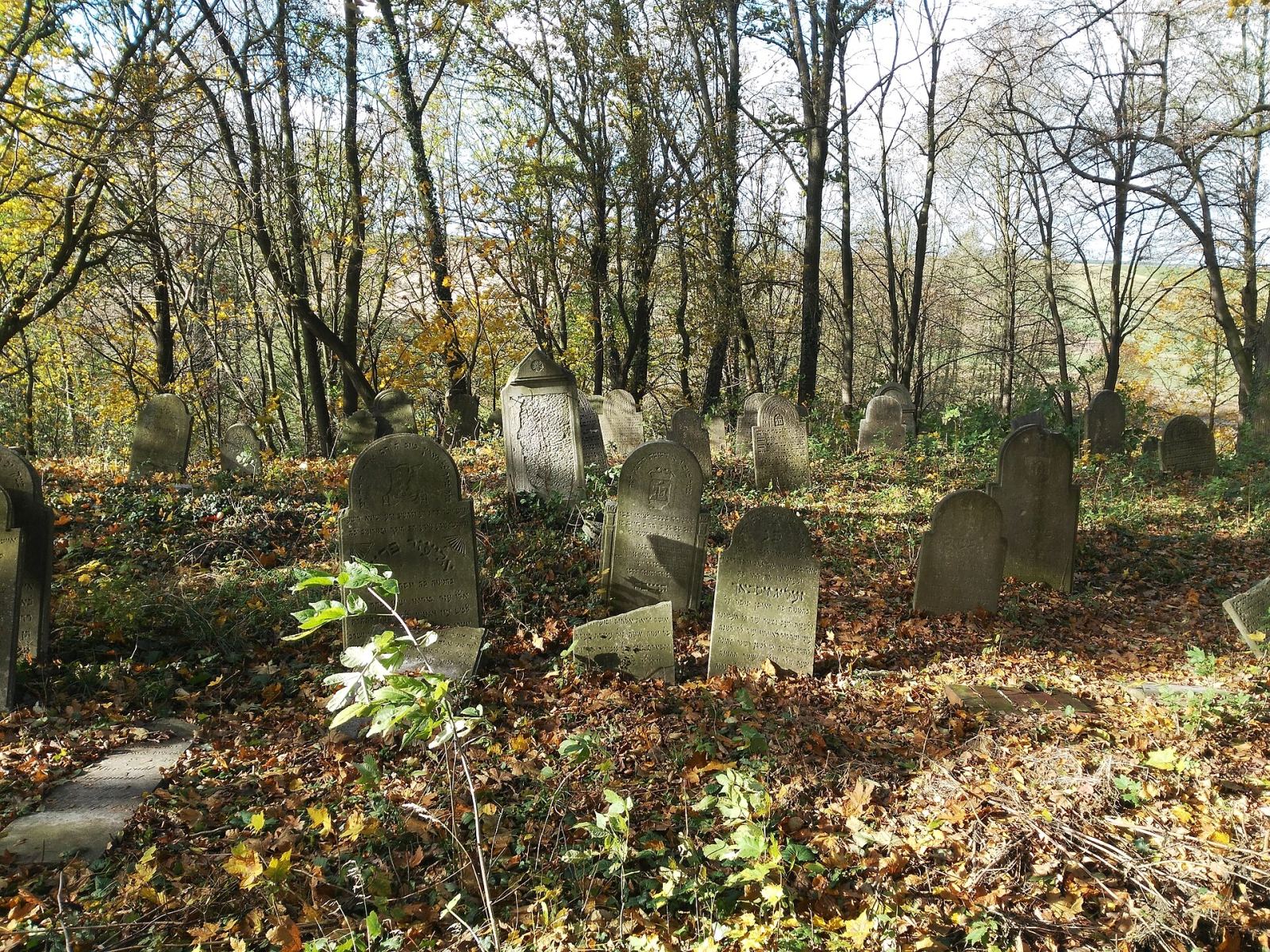 Cmentarz żydowski, Biała