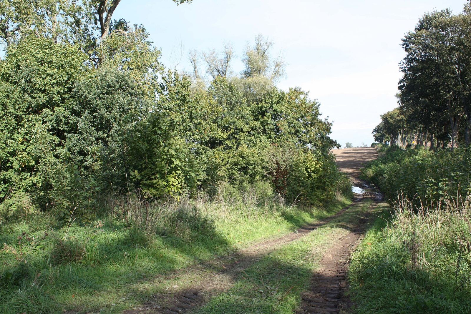 Park dworski, Giezkowo