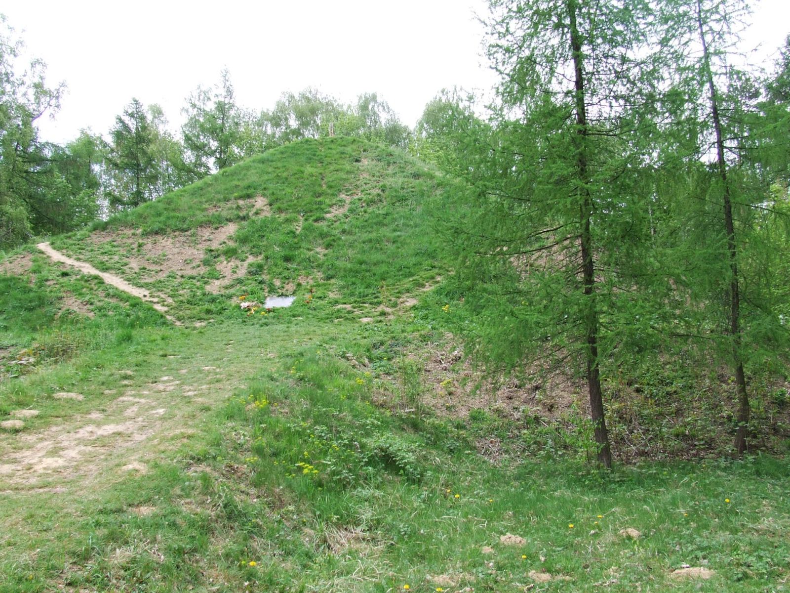 Kopiec Kościuszki, Janowiczki