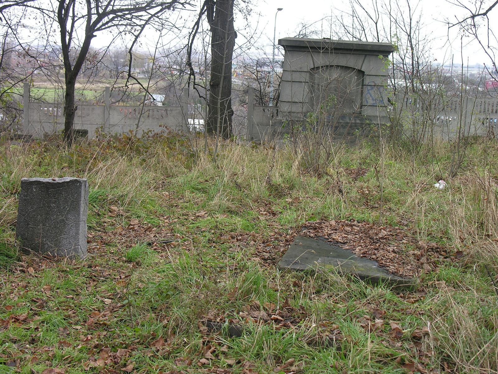 Cmentarz żydowski, Świdnica