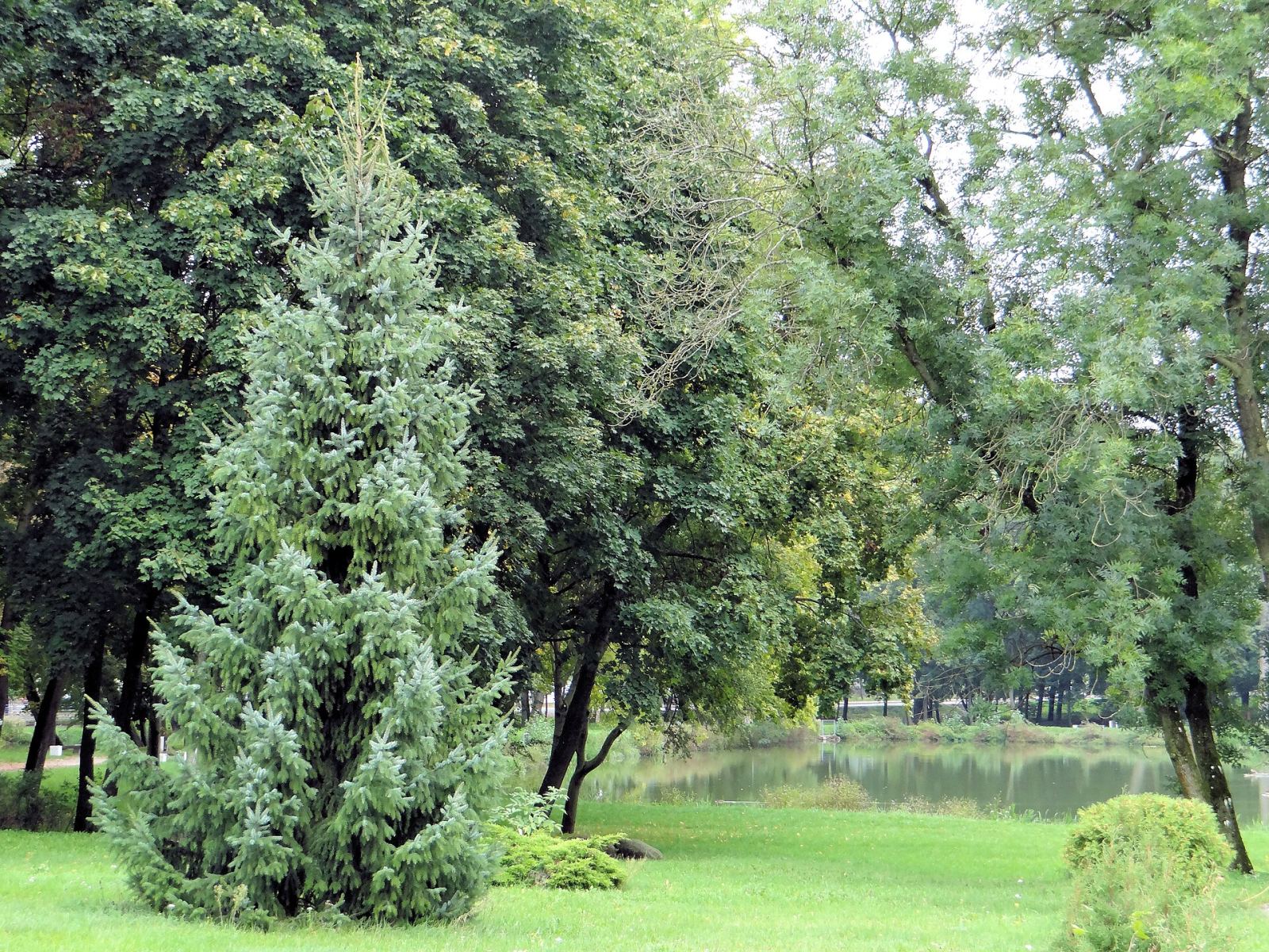 Park, Białystok