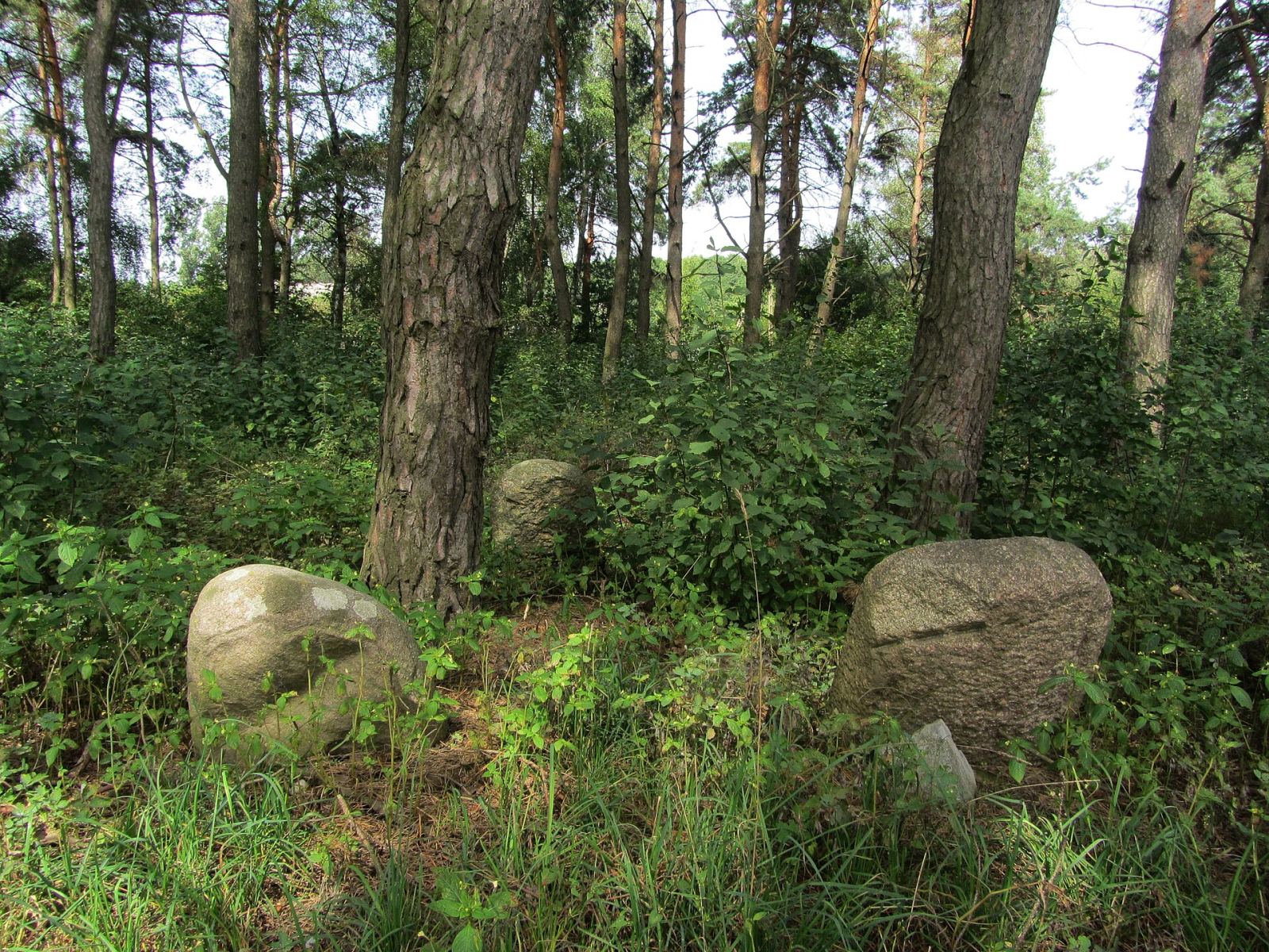 Cmentarz żydowski, Choroszcz