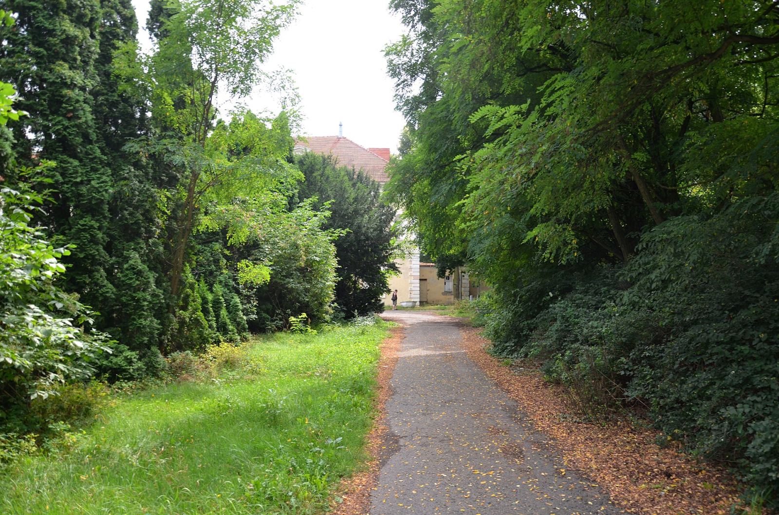 Park, Konarzewo