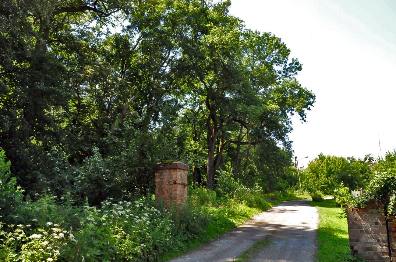Park, Szczepanów
