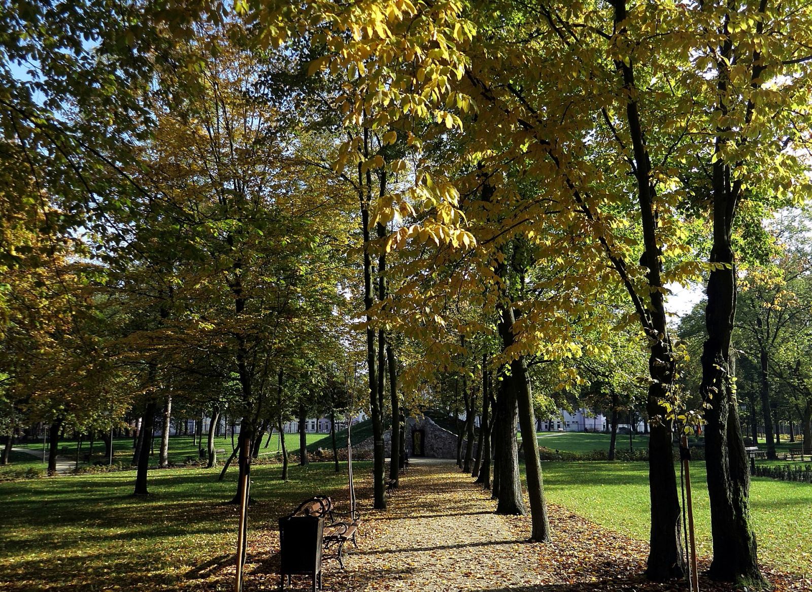 Park pałacowy, Poddębice