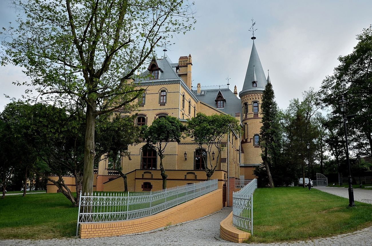 Pałac, Większyce