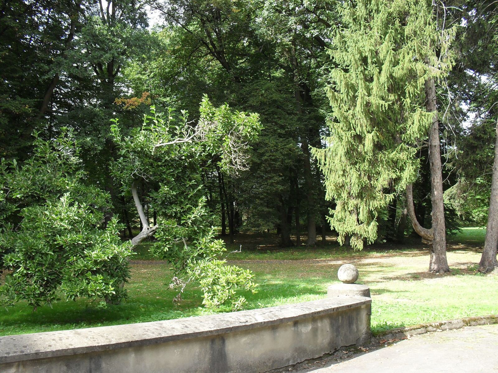 Park, Przyborów