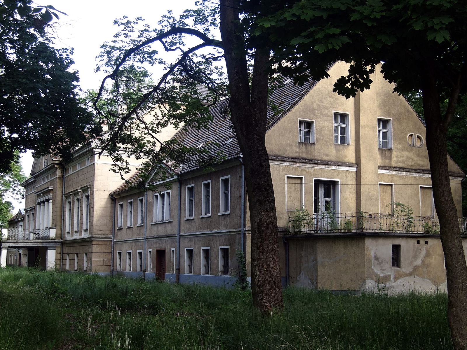 Pałac, Bąków