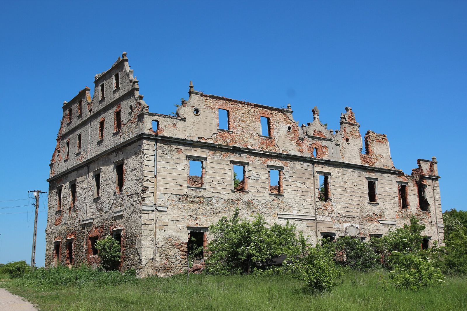 Pałac, Borzygniew