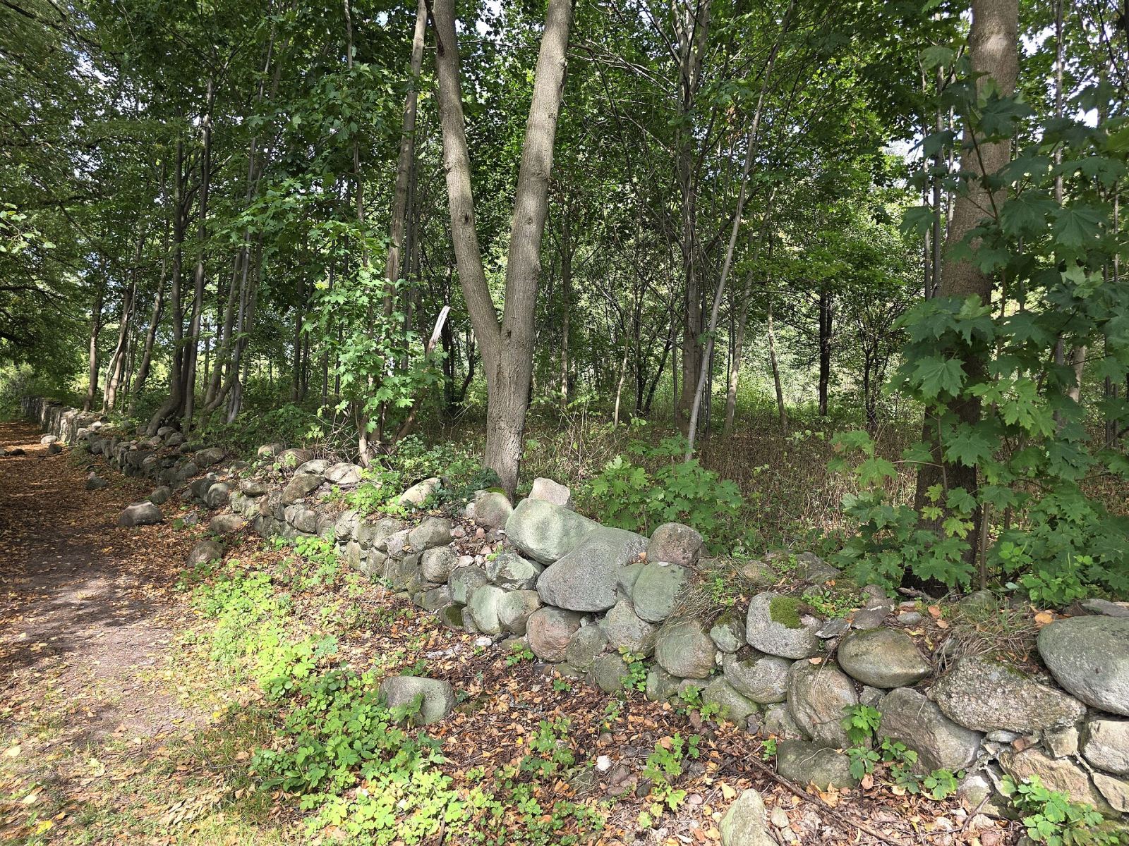 Mur ogrodzeniowy, Krynki