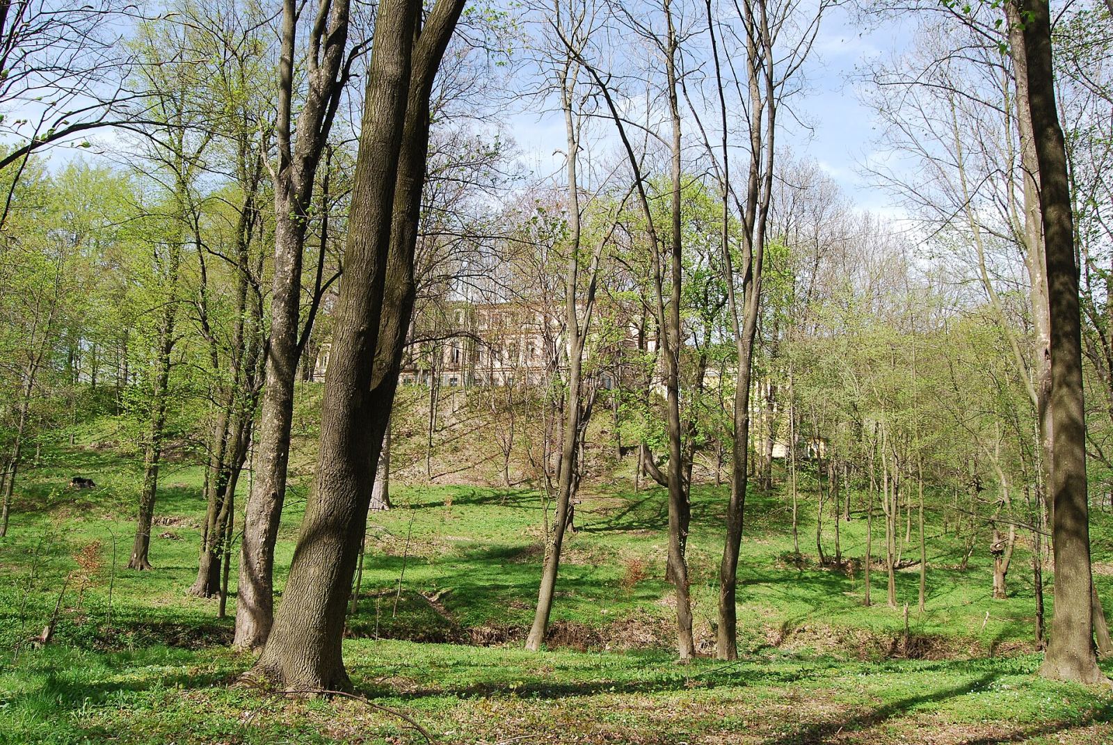 Park, Podgórki