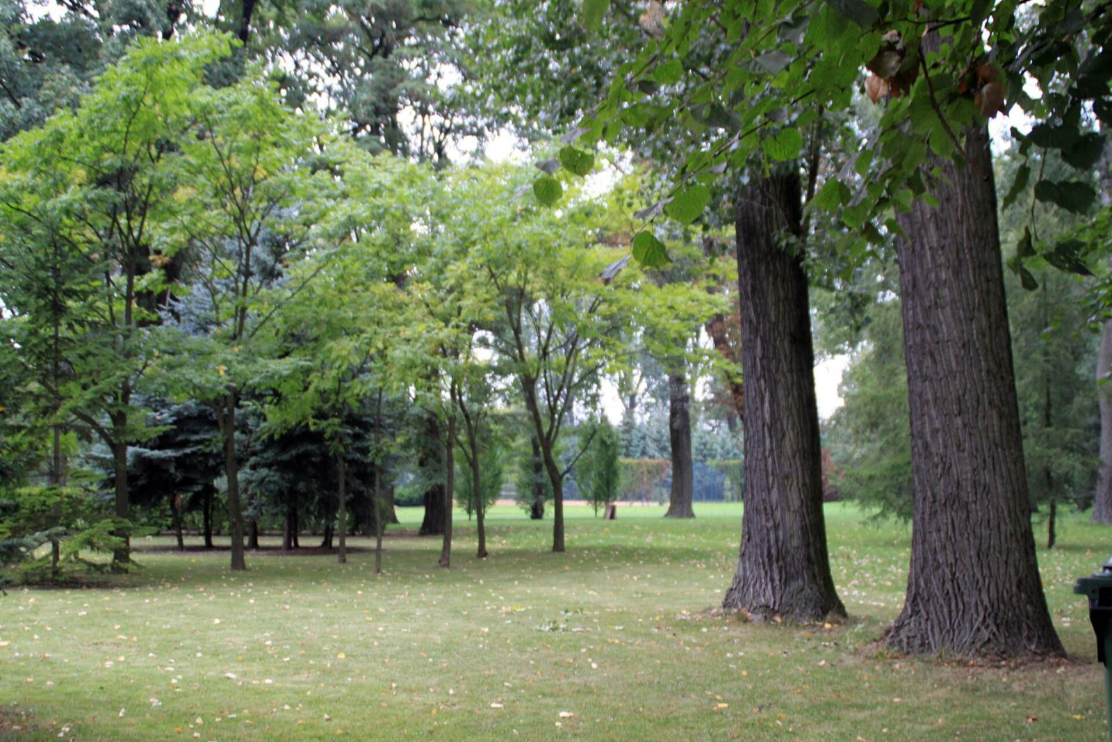 Park dworski, Chaławy