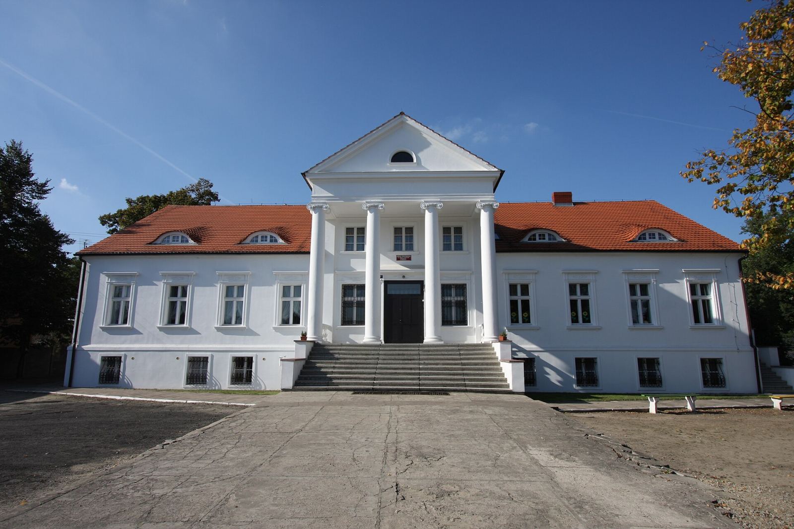 Dwór, Rudniki