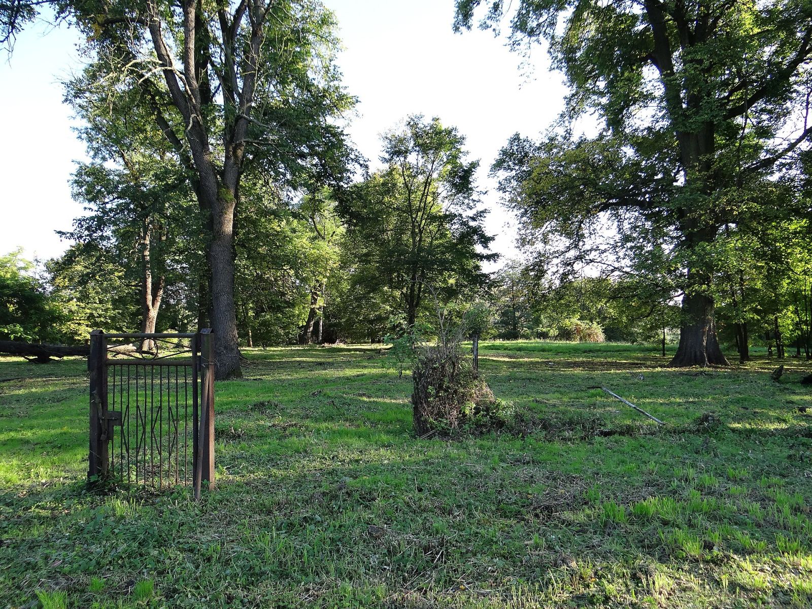 Park dworski, Bobin