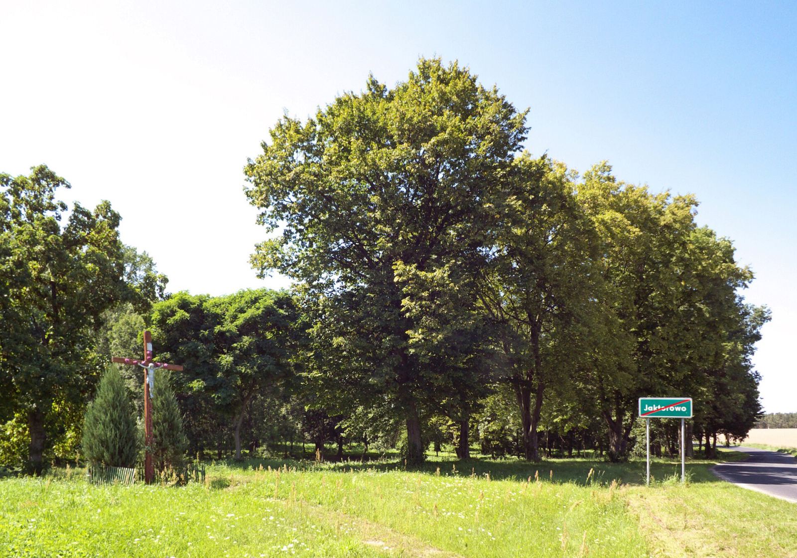 Park dworski, Jaktorowo