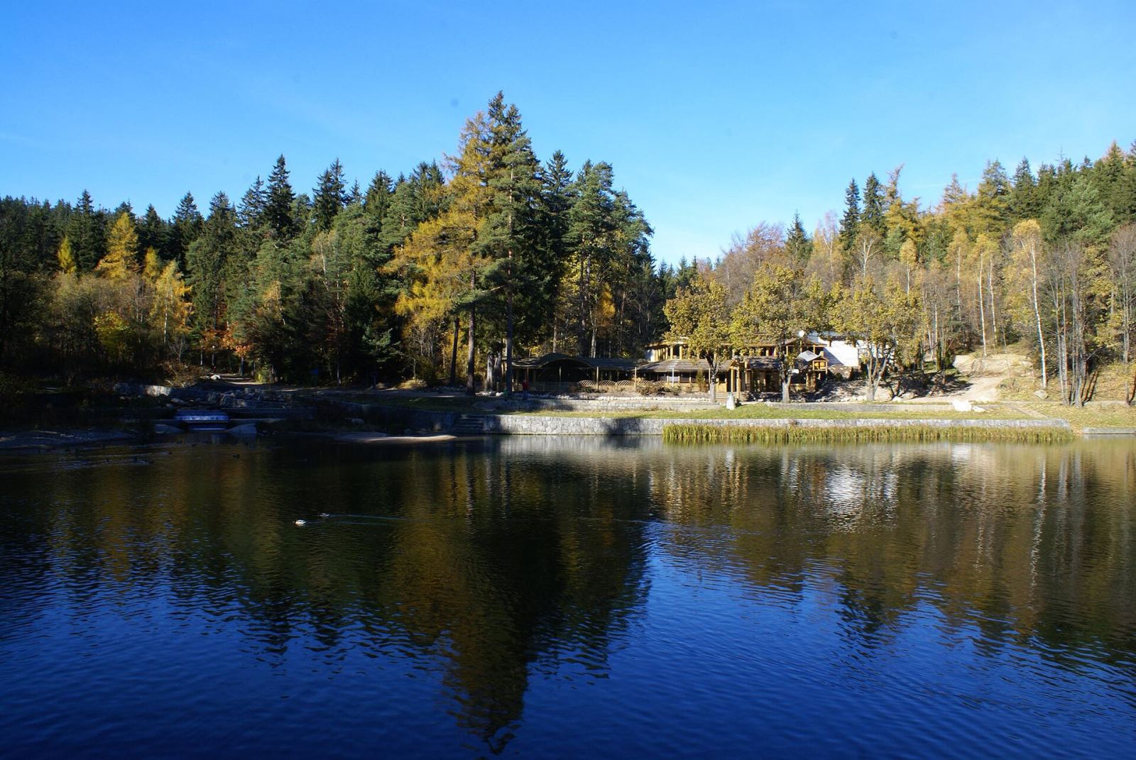 Miasto, Karpacz