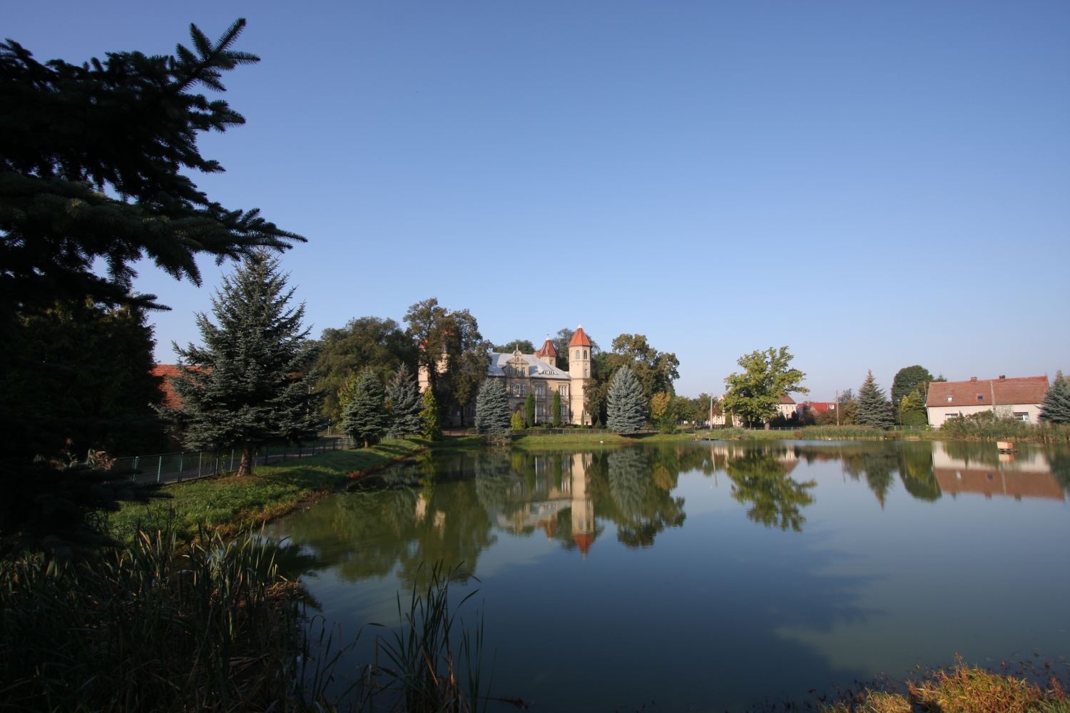 Park, Dąbrówka Wielkopolska